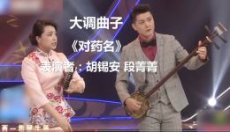 对药名