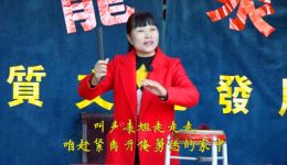 河南坠子《白马传御状》金文忠告状遇贵人 带表姐私奔惊险剧情在线下载