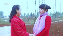 云南山歌剧《小姨的婚事》完剧视频MP4/MP3下载，农村家庭婚姻故事资源
