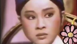 歌仔戏《新求婚》高清戏曲视频MP4/MP3下载 - 许仙姬李如麟经典演绎下载