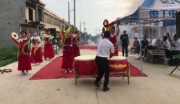 邓州市郑林唢呐锣鼓队演奏《抬花轿》，河南家乡戏曲在线畅听，品味传统韵味