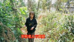 贵州山歌《不听老人亏眼前》经典视频MP4/MP3资源下载，畅享原生态山歌魅力