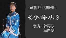 黄梅戏《小辞店》韩再芬演唱版本，经典戏曲资源在线下载下载