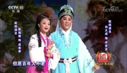 黄梅戏《春香传》选段下载 刘大成陈丽媛表演 戏曲视频MP4/MP3资源下载