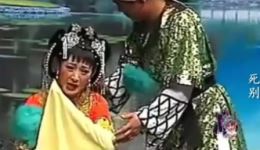 二人转正戏《死别》闫学晶佟长江倾情演唱，深情演绎生死离别，精彩不容错过下载