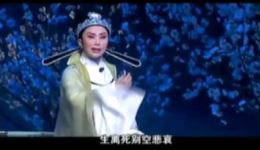 陆游与唐婉