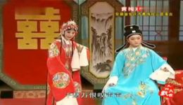 黄梅戏《碧玉簪》选场汪莉刘国平倾情演唱，坐等天明，好看又好听！下载