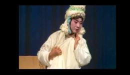 蒲剧《藏舟》王秀兰主演经典戏曲视频MP4/MP3资源下载，名家演绎高清戏曲