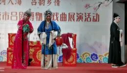 吕剧《借年》全场高清下载｜田春华曲荣梅齐成华主演，经典传统戏曲资源速存！