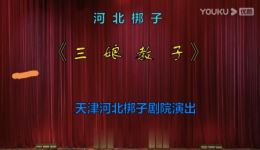 河北梆子《三娘教子》全场视频MP4/MP3下载 张翠香王少华主演经典戏曲下载