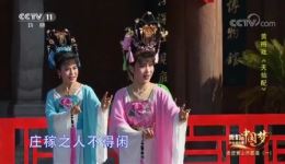 黄梅戏《天仙配》选段下载陈琳郑芳表演，MP4/MP3戏曲资源免费获取下载