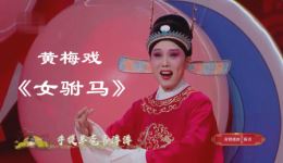 黄梅戏《女驸马》吴琼精彩演绎，经典新唱，尽显黄梅戏独特魅力下载