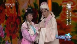 黄梅戏《桃花扇》选段下载周山杨舒星表演，高清戏曲视频MP4/MP3资源下载