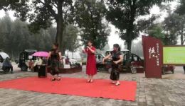 扬州观灯