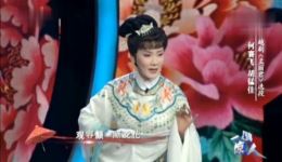 越剧《孟丽君·描容》何赛飞胡錳家演唱视频MP4/MP3下载 经典戏曲选段下载