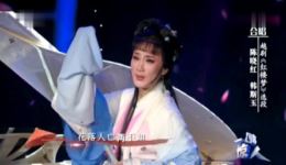 红楼梦·黛玉葬花
