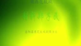 岳阳屈原花鼓戏《错斩郑子明》01全集下载 - 刘春满李其良等主演经典戏曲资源 岳阳屈原花鼓戏《错斩郑子明》01全集下载 - 刘春满李其良等主演经典戏曲资源
