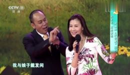 黄梅戏《天仙配》选段下载，张光北陈炜演唱，经典戏曲资源免费获取