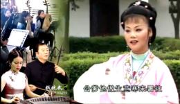 晚娘戏子