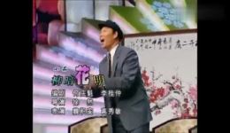 柳暗花明