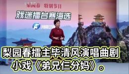 《弟兄仨分妈》梨园春擂主毕清风演唱曲剧小戏视频MP4/MP3资源下载，精彩家庭亲情故事不容错过下载