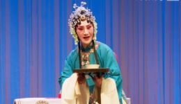 柳子戏《孙安动本》第六场下载迟皓文、杨春伟主演,国家级非遗戏曲mp3/mp4资源 柳子戏《孙安动本》第六场下载迟皓文、杨春伟主演,国家级非遗戏曲mp3/mp4资源