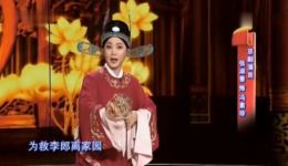 黄梅戏《女驸马》选段谁料皇榜中状元，张淑景精彩演唱，经典戏曲在线畅享下载