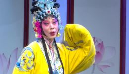 吕剧《逼婚记》经典片段在线下载,明朝故事演绎公义与智慧 吕剧《逼婚记》经典片段在线下载,明朝故事演绎公义与智慧