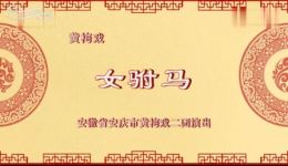 黄梅戏《女驸马》全场戏下载 - 韩再芬李萍熊辰龙主演经典黄梅戏资源下载