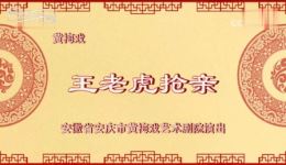黄梅戏《王老虎抢亲》全剧下载严桂兰/左胜利/盛敏学主演高清戏曲视频MP4/MP3资源