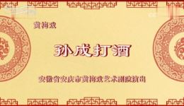 黄梅戏《孙成打酒》全剧下载 - 左胜利董家林郑玉兰主演经典全场