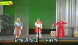 闽剧《王有道休妻》MP4/MP3下载，福州市闽剧院一团张品生胡奇明林秀英主演下载