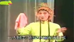闽剧《王有道休妻》张品生胡奇明主演，戏曲MP4/MP3资源下载，福州市闽剧院一团经典全剧下载