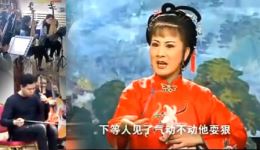庐剧《小辞店》孙小云送行话别选段，经典唱腔，韵味十足！下载