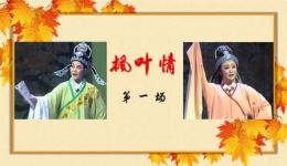 潮剧《枫叶情》第一场戏曲视频MP4/MP3下载，黄学嫩主演，潮州市潮剧团精品剧目下载