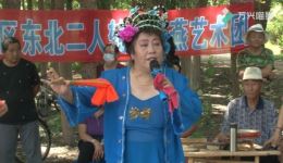 二人转正戏《双锁山》朱凤霞赵晓虎主演，MP4/MP3戏曲视频音频下载，经典二人转正戏资源下载