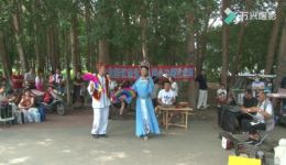 二人转小帽《秀云肩》赵桂英戏曲视频MP4/MP3下载 - 正版二人转资源下载