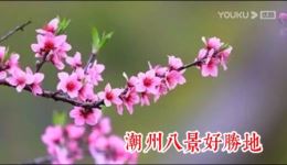 张灯结彩不夜天