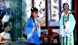 安徽庐剧《媳妇的眼泪》片段下载 - 王小五倪媛媛经典演绎下载