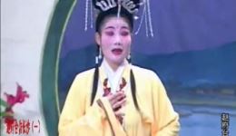 岳阳屈原正红花鼓戏《赵府台访长沙》第一集高清下载|周春和田超主演经典戏曲资源 岳阳屈原正红花鼓戏《赵府台访长沙》第一集高清下载|周春和田超主演经典戏曲资源