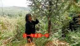 贵州山歌《人生坎坷路不平》高清视频MP4/MP3资源下载,原汁原味民族山歌免费获取 贵州山歌《人生坎坷路不平》高清视频MP4/MP3资源下载,原汁原味民族山歌免费获取