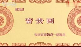 黄梅戏《富贵图》全剧下载 赵媛媛马自俊主演高清戏曲视频MP4/MP3资源
