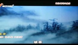 粤剧经典《抢伞》曾小敏文汝清主演，战乱温情演绎，精彩不容错过下载