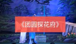 团圆探花府