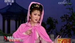 黄梅戏《哑女告状》经典选段，蒋建国精彩演唱，正版戏曲资源下载下载