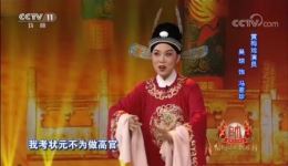 吴琼领衔主演黄梅戏《女驸马》全场经典，女扮男装智斗情节超精彩下载