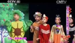 龟兔赛跑
