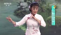黄梅戏《家》经典选段下载，孙路阳李妮演唱，高清戏曲视频MP4/MP3资源下载