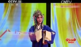 评剧《小包公智斩皇亲》经典选段 朱宝琴倾情演唱 正义大戏精彩呈现