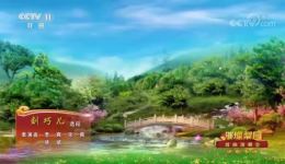 评剧《刘巧儿》经典选段李爽、宋爽、姚斌精彩演绎，不容错过的戏曲盛宴下载